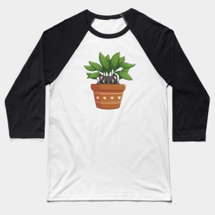 Black Cat In A Pot Baseball T-Shirt